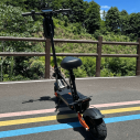 Електросамокат GIANT Blade GT 48V 18Ah 1600W (2025) | З сидінням, посиленою конструкцією та амортизаційною підвіскою, Фото 11