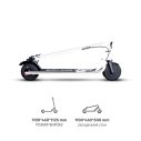 Електросамокат GIANT Wings PRO 2 9.25" 500W 36V 13AH Білий NEW (до 25 км/год), Фото 3