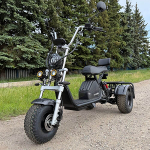Електровелосипед CityCoco EVOBIKE Grizzly X3 2500W 48V 24Ah Carbon | До 40 км/год | Літій-іонний акумулятор | Гарантія 24 місяці
