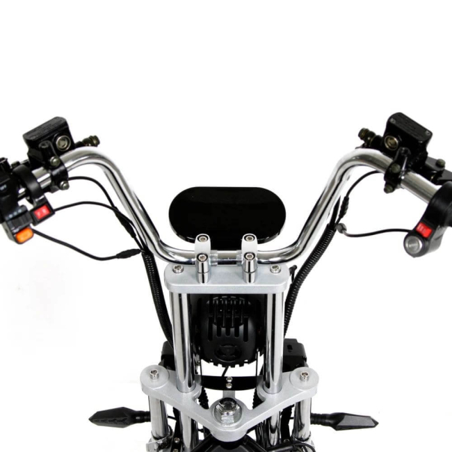 Електровелосипед CityCoco EVOBIKE Grizzly X3 48V 21Ah 2500W Триколісний, Фото 12