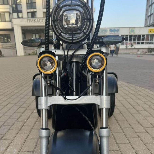 Електровелосипед CityCoco EVOBIKE Grizzly X3 48V 21Ah 2500W Триколісний, Фото 8