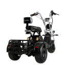 Електровелосипед CityCoco EVOBIKE Grizzly X3 48V 21Ah 2500W Триколісний, Фото 4