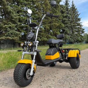 Електровелосипед CityCoco EVOBIKE Grizzly X3 2500W 48V 24Ah Жовтий | До 40 км/год | Li-ion | Гарантія 24 місяці