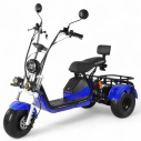 Триколісний електровелосипед CityCoco EVOBIKE UrbanRide X3 48V 21Ah 2000W — Синій, Фото 5
