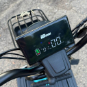 Електровелосипед триколісний EVOBIKE Luna TRIO | 60V Li-ion 23Ah 1200W, Фото 10
